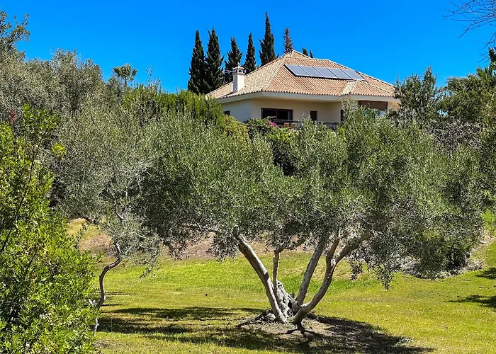 Villa Del Gato *