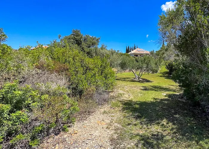 Villa Del Gato *