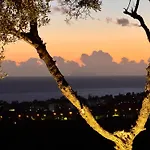 Del Gato * Marbella