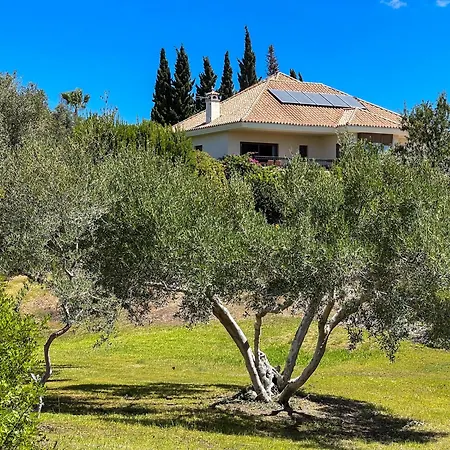 Villa Del Gato *