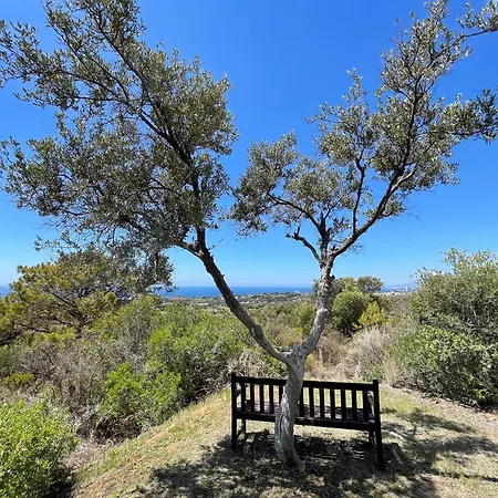 Del Gato Villa Marbella