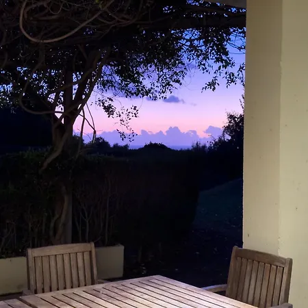Del Gato * Marbella