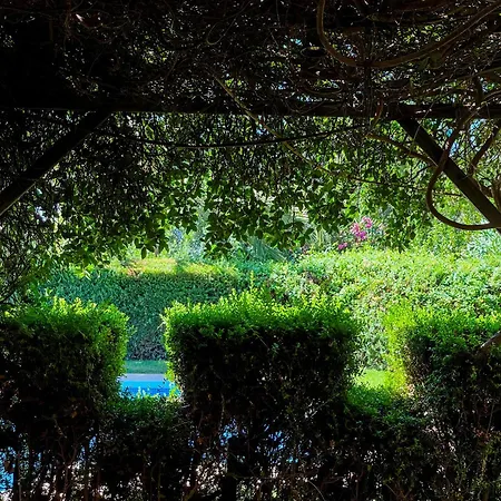 Villa Del Gato Marbella