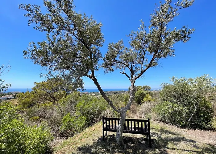 Del Gato ヴィラ マルベーリャ