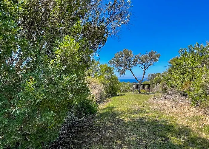 Del Gato マルベーリャ