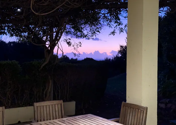 Del Gato * マルベーリャ