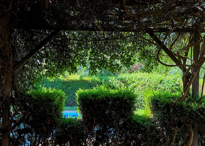 ヴィラ Del Gato マルベーリャ