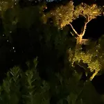 Del Gato * 马尔韦利亚