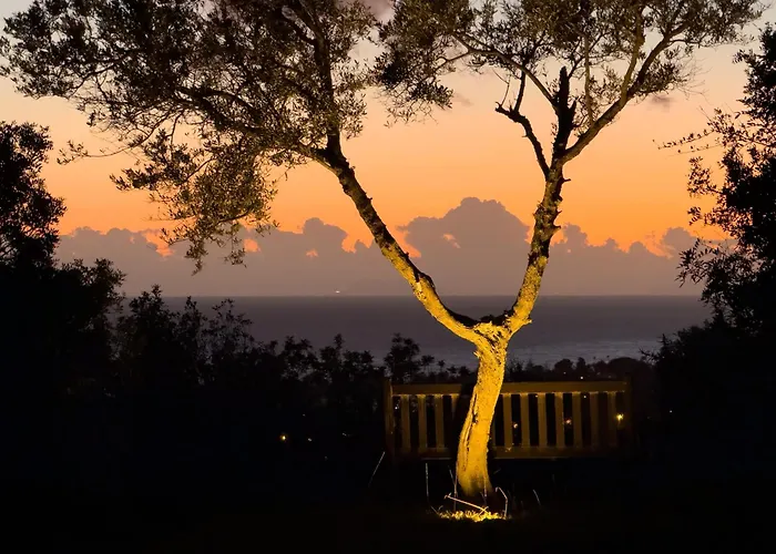 Villa Del Gato