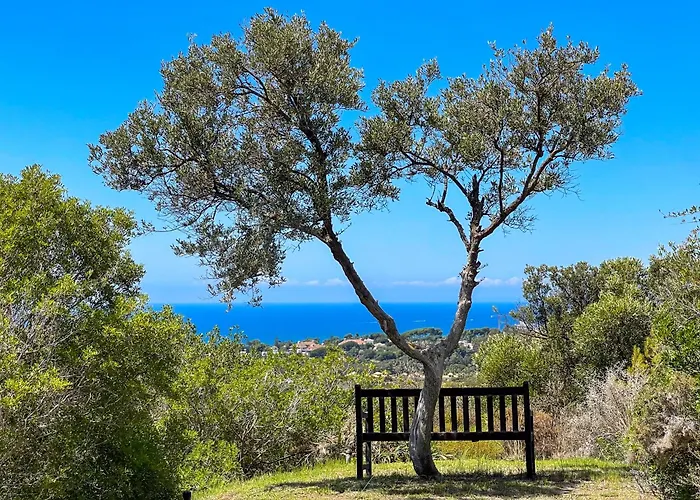 Del Gato Villa Marbella