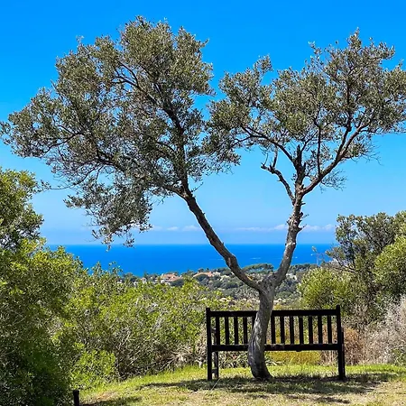 Del Gato Villa Marbella